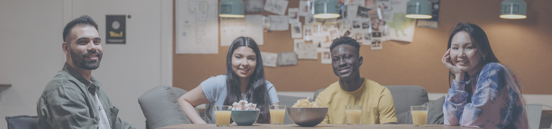 FRANCOFONIAS &bull; FRANC&Ecirc;S NO PLURAL